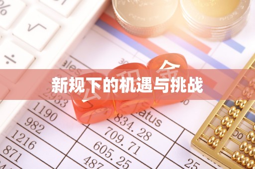南票新规下的机遇与挑战