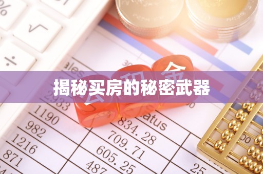 南票揭秘买房的秘密武器