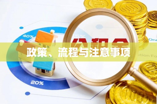 南票政策、流程与注意事项