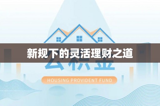 南票新规下的灵活理财之道