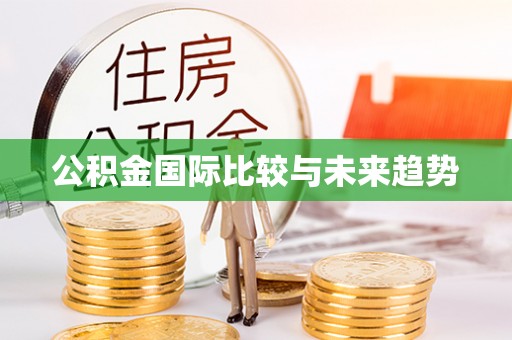南票公积金国际比较与未来趋势