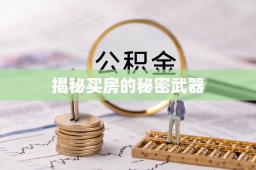南票揭秘买房的秘密武器