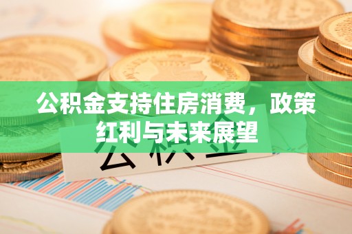 南票公积金支持住房消费，政策红利与未来展望