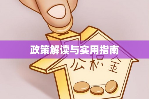 南票政策解读与实用指南