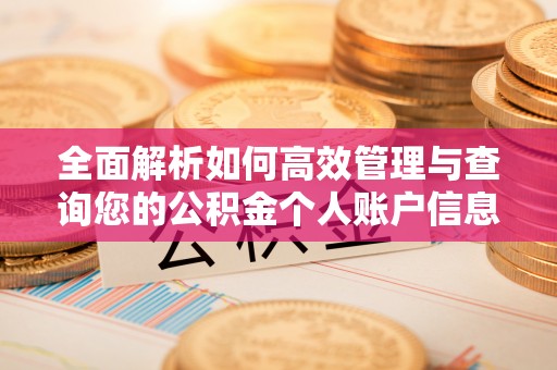 南票全面解析如何高效管理与查询您的公积金个人账户信息