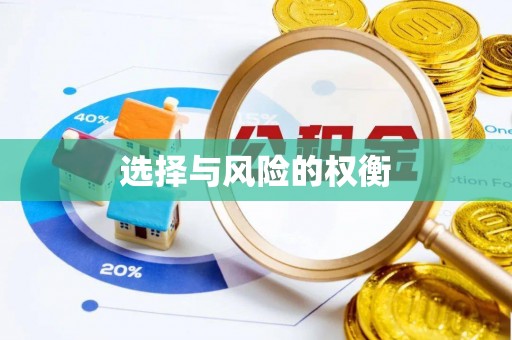 南票选择与风险的权衡