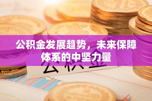 南票公积金发展趋势，未来保障体系的中坚力量