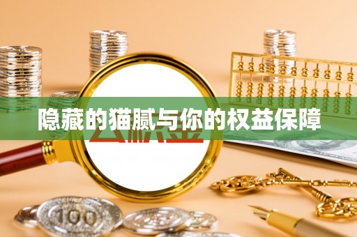 南票隐藏的猫腻与你的权益保障
