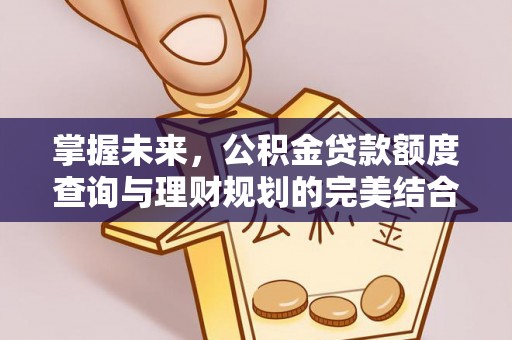 南票掌握未来，公积金贷款额度查询与理财规划的完美结合