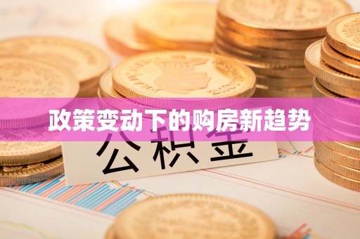 南票政策变动下的购房新趋势