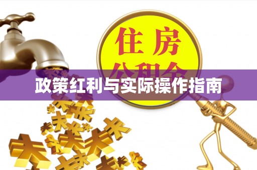 南票政策红利与实际操作指南