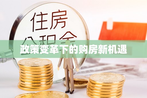 南票政策变革下的购房新机遇