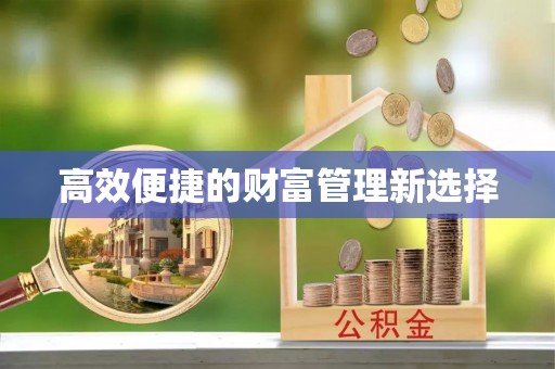 南票高效便捷的财富管理新选择
