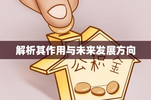 南票解析其作用与未来发展方向
