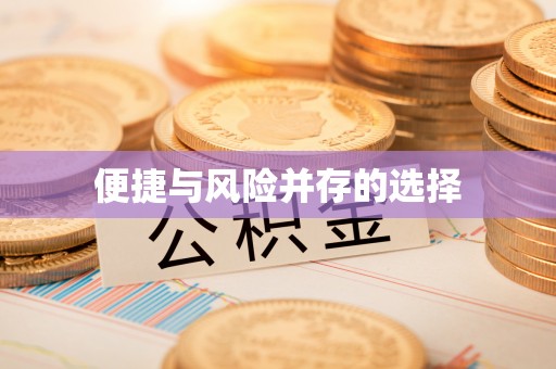 南票便捷与风险并存的选择