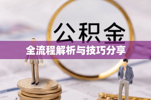 南票全流程解析与技巧分享
