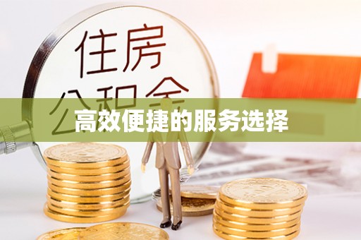 南票高效便捷的服务选择