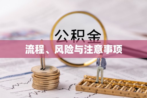 南票流程、风险与注意事项